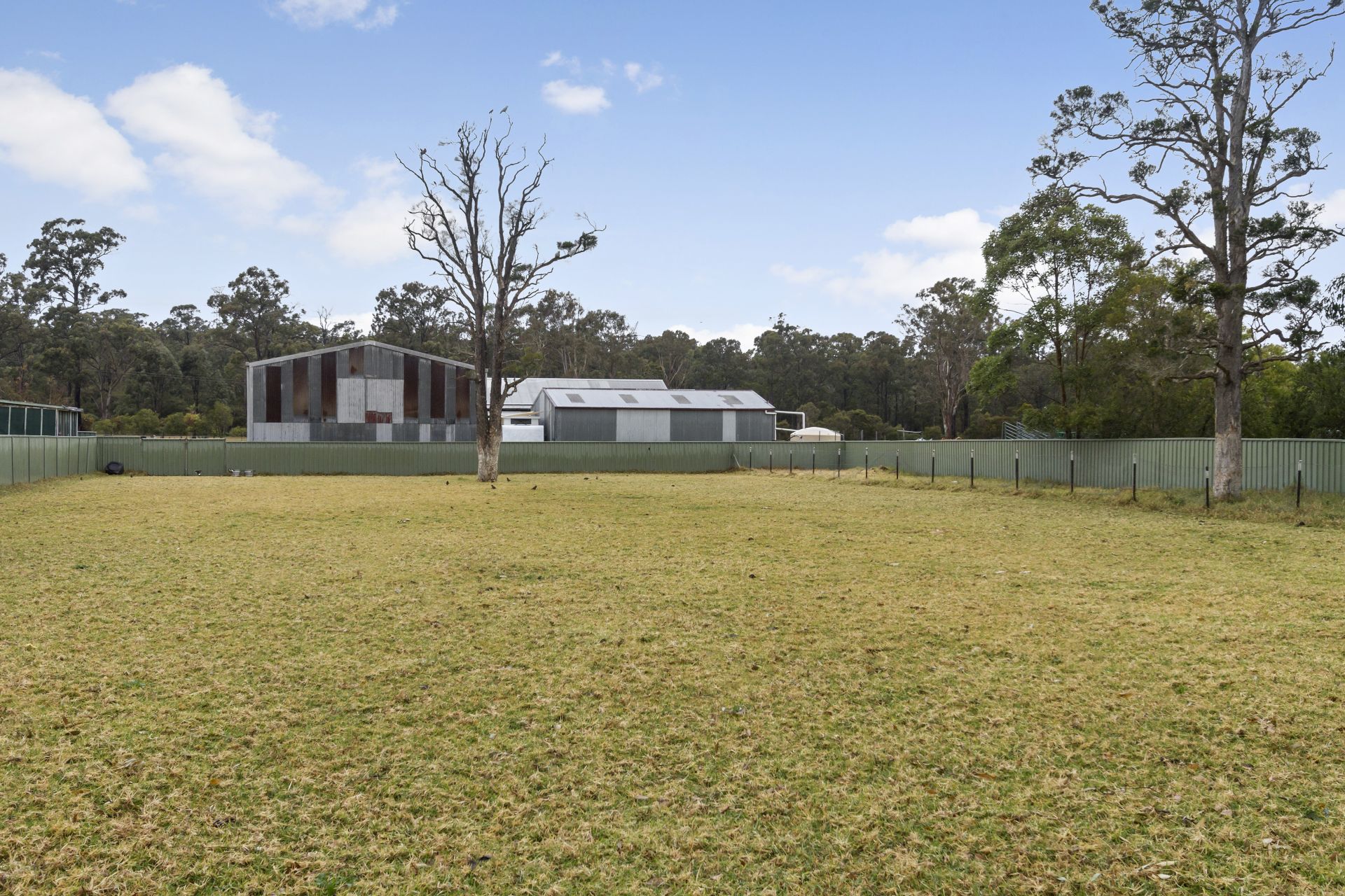 Real Estate For Sale 4 Seaham Street Holmesville , NSW