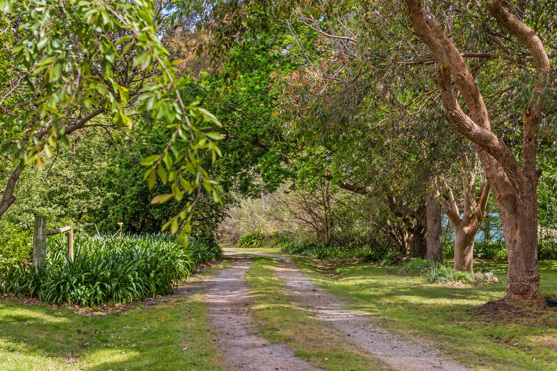 Kay & Burton 259 Myers Road, Balnarring