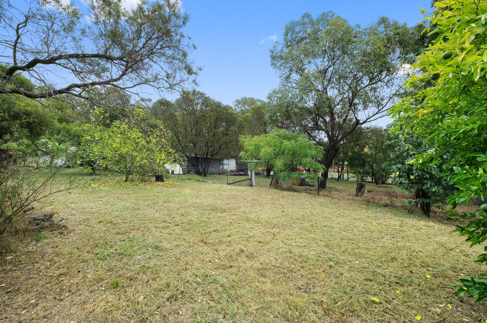 Real Estate For Sale 48 Atkinson Street Bellbird , NSW