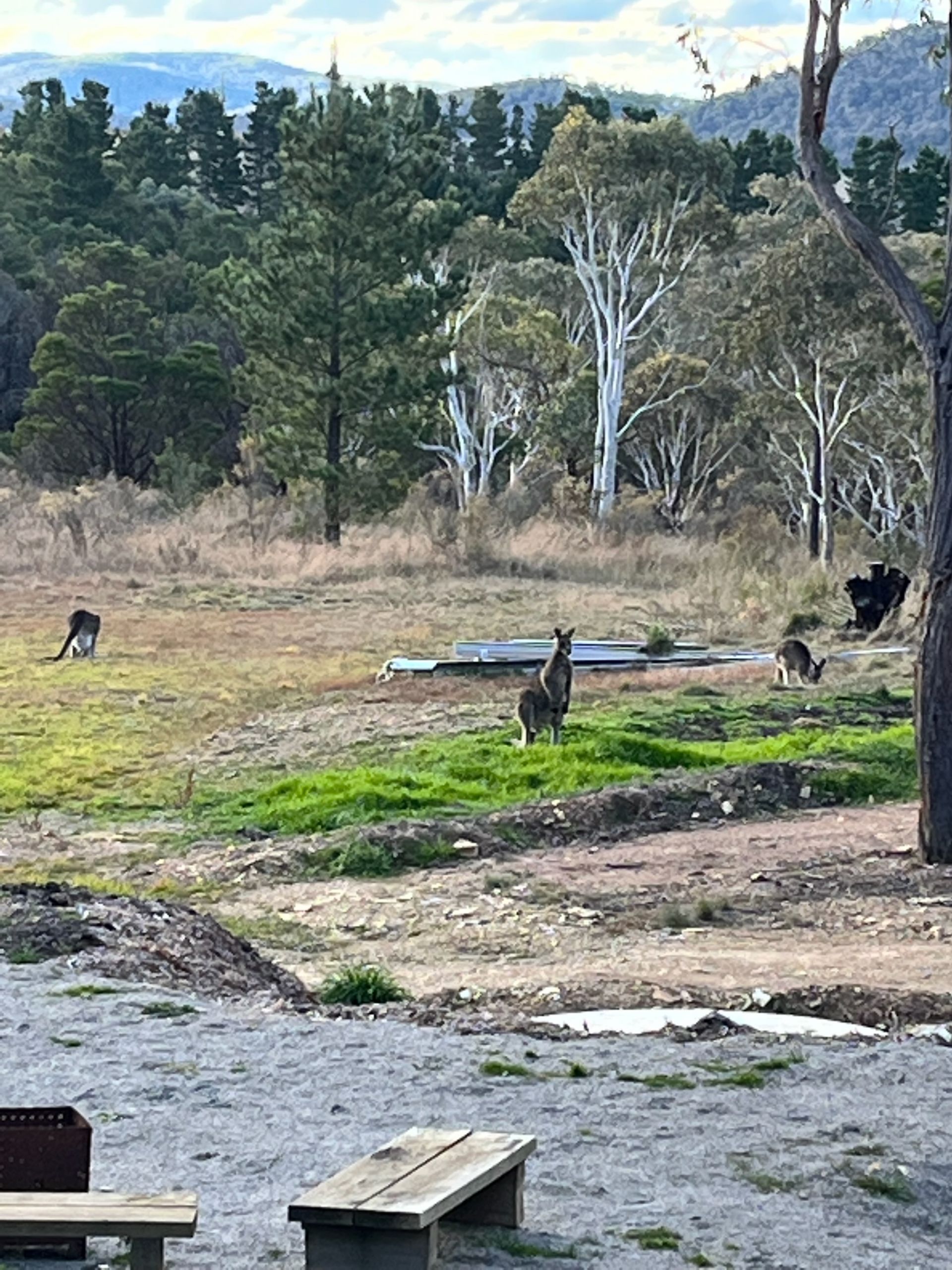Middle Arm Road, Goulburn Angella Storrier Real Estate