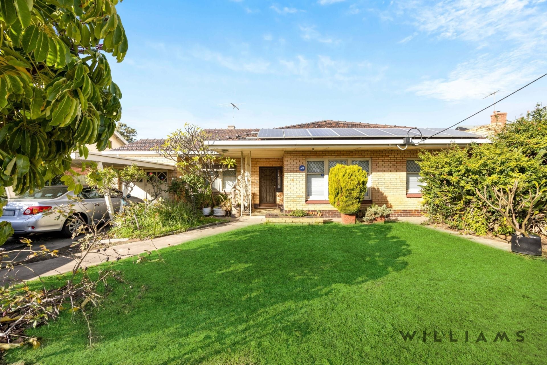 7 Holbrooks Road, Flinders Park Williams Real Estate