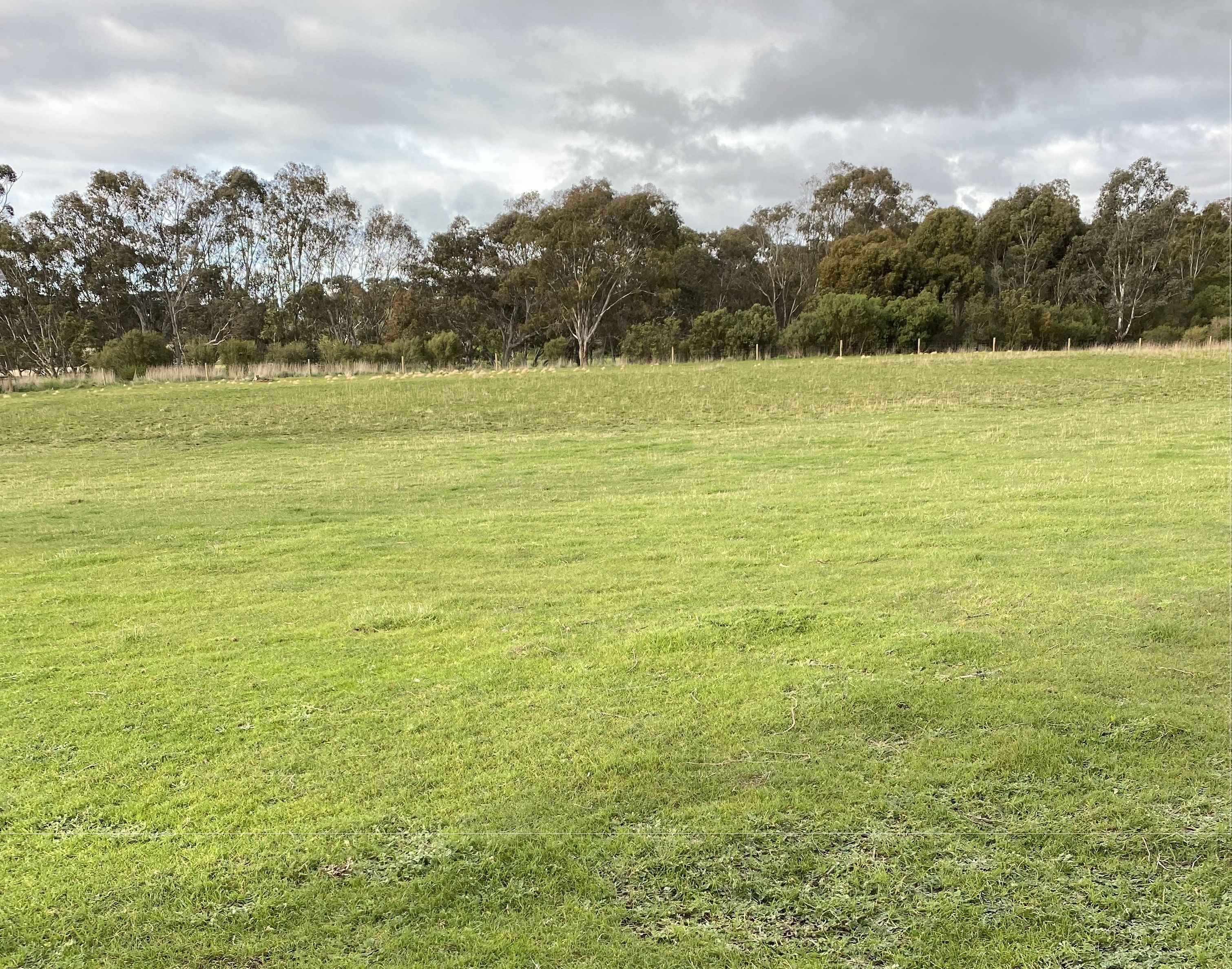 Real Estate For Sale C/A 2/ Saleyard Road Inverleigh , VIC