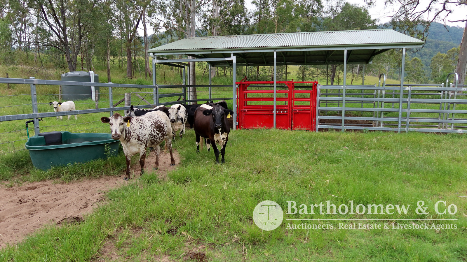 Real Estate For Sale Lot 73 Upper Allan Creek Road Bromelton , QLD
