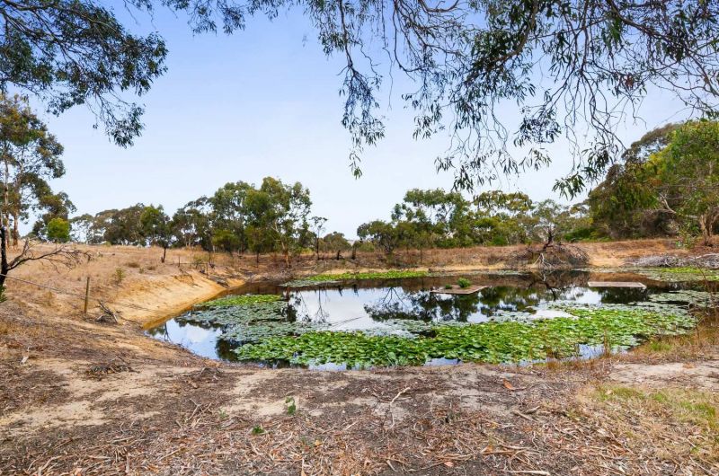 Lot 50 No Water Reserve Road, Lower Inman Valley South Coast Realty