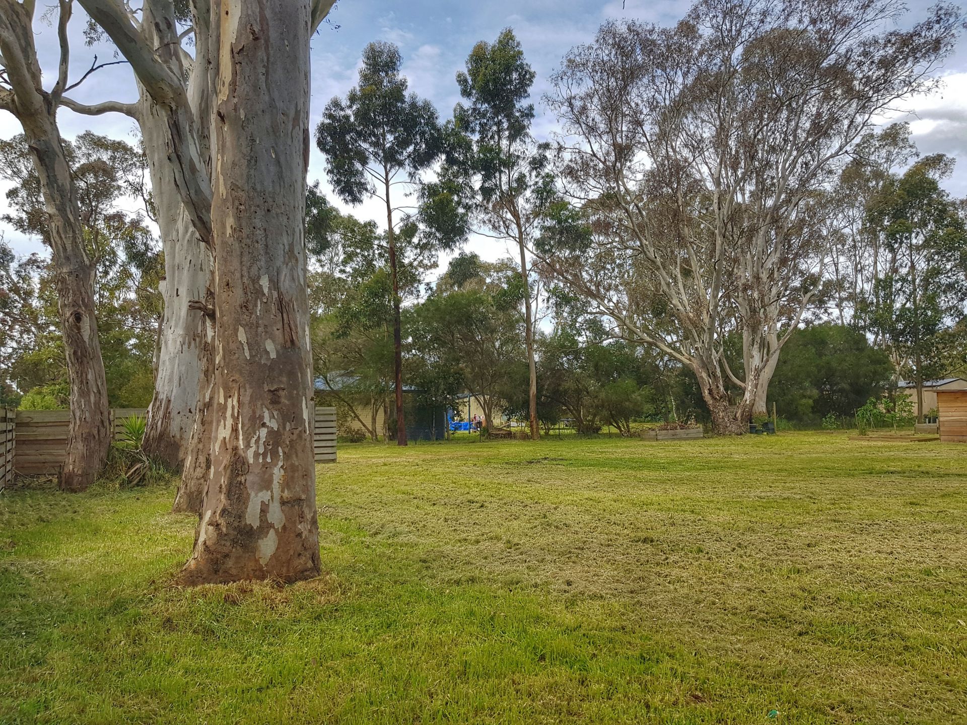 18 Railway Terrace, Kalangadoo Malseeds Real Estate