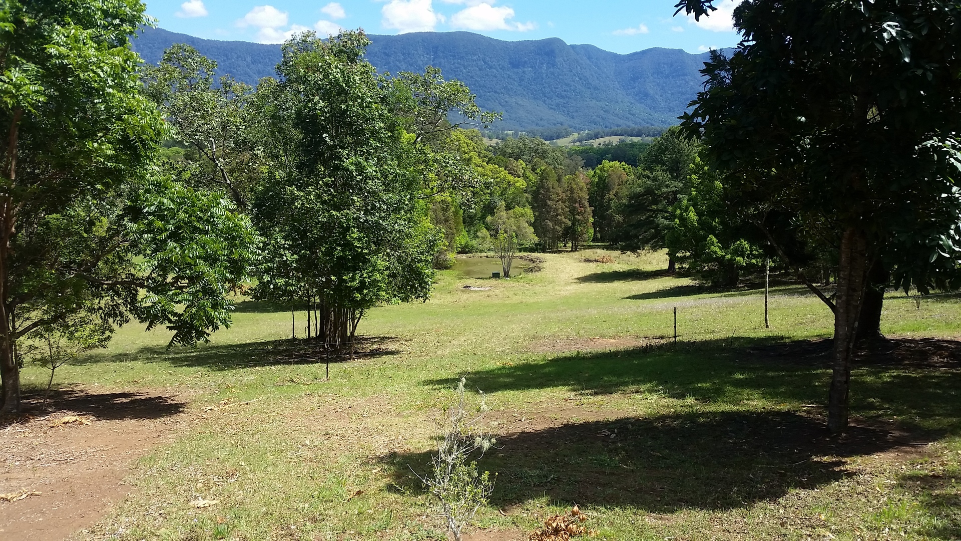 124 Pinnacle Road, Tyalgum. NSW. 2484, TYALGUM, NSW, 2484 Acreage