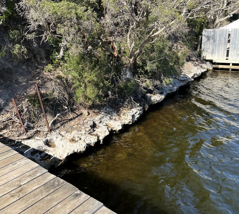 51/8/ Glenelg, Nelson Malseeds Real Estate