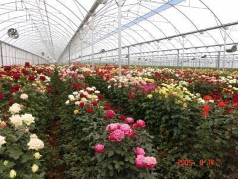 Rural For Sale in Melbourne