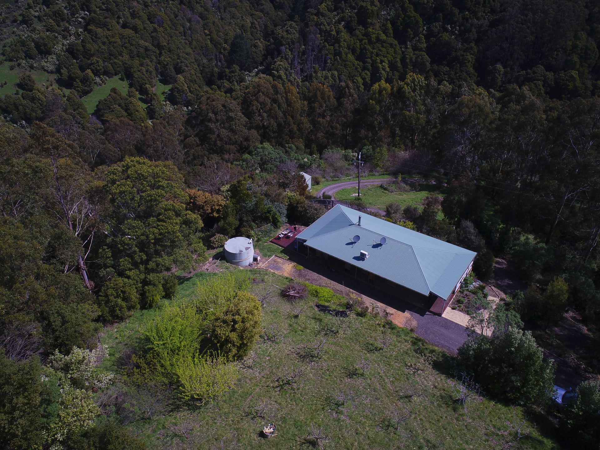 Real Estate For Sale 390 Wild Dog Road Apollo Bay , VIC