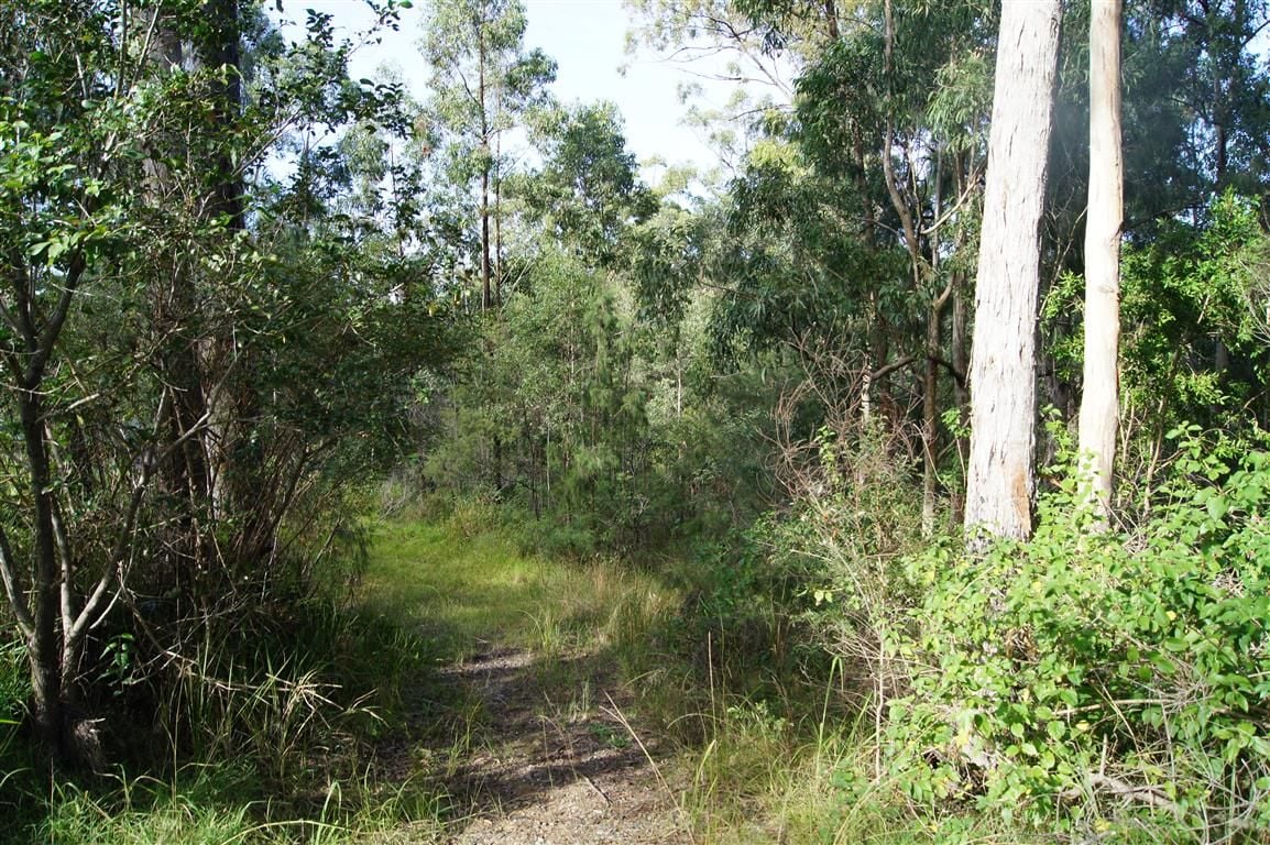 Real Estate For Sale 319 Dirty Creek Road Dirty Creek , NSW