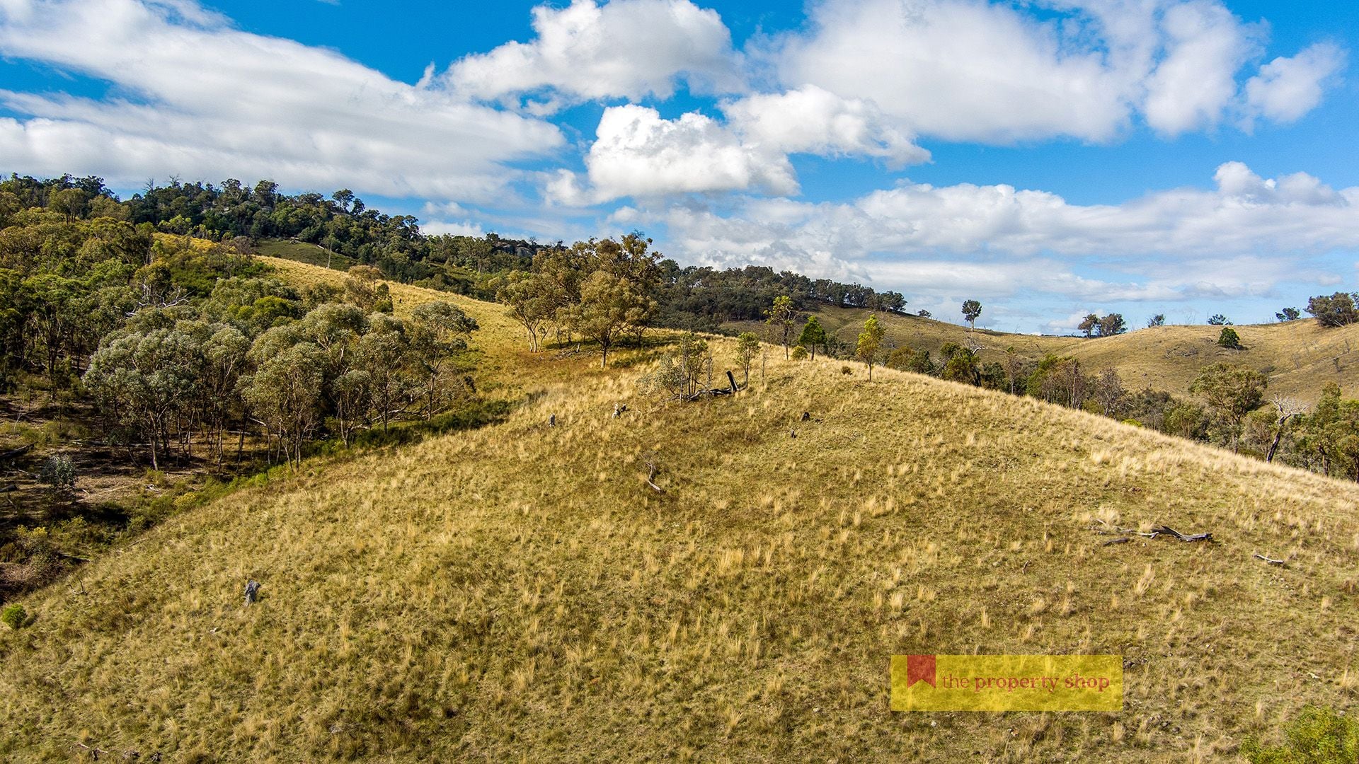 1887 Queens Pinch Road, Mudgee The Property Shop