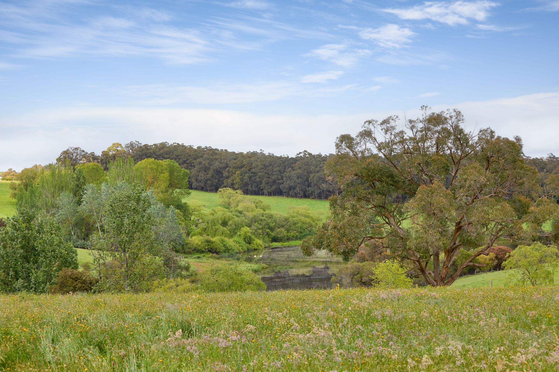 999 Brandy Creek Road, Rokeby OBrien Real Estate