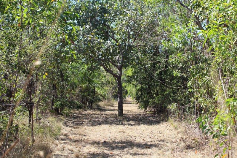 64 Andreas Avenue, Dundee Beach Acacia Realty