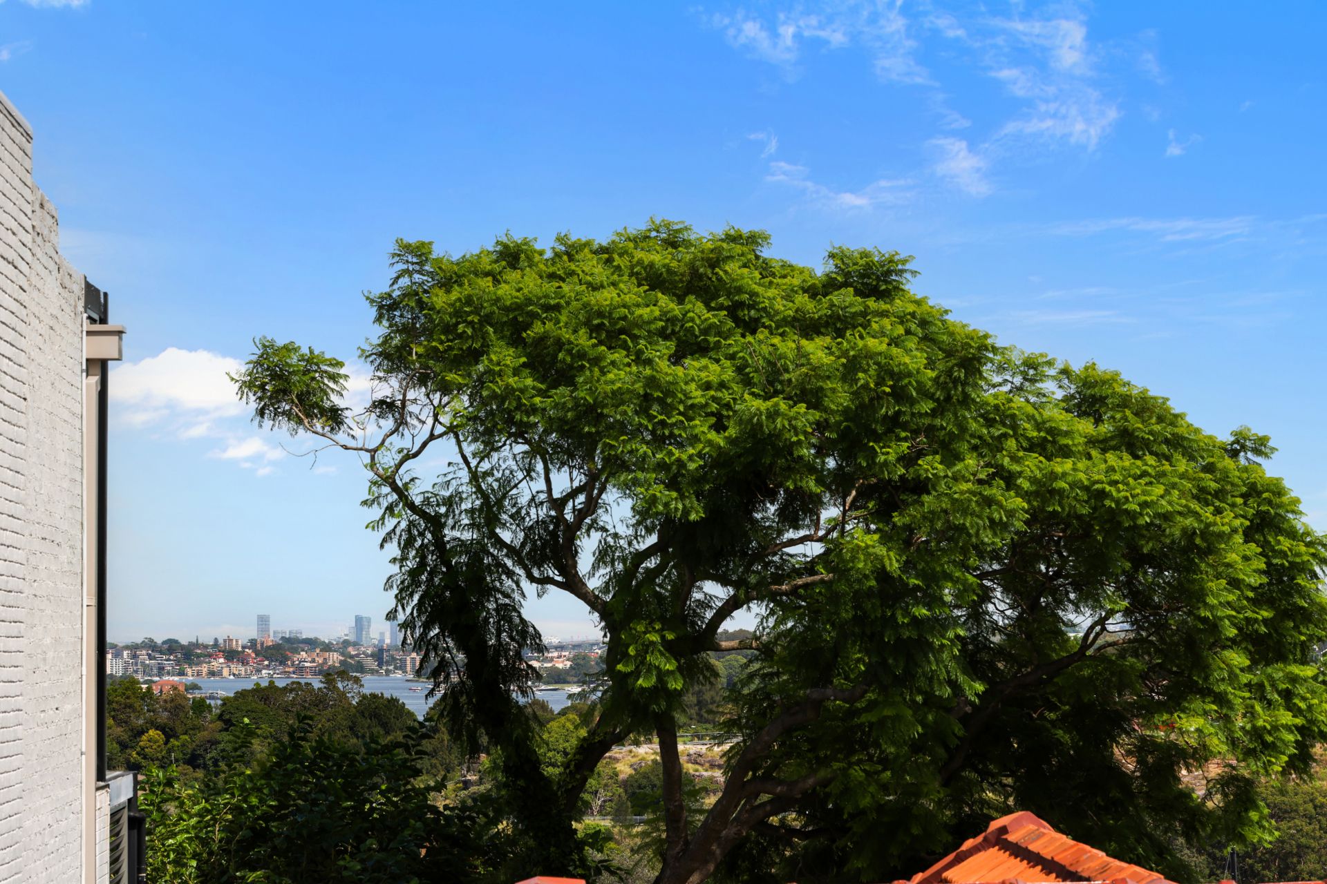 Real Estate For Sale 5 Thomas Street McMahons Point , NSW