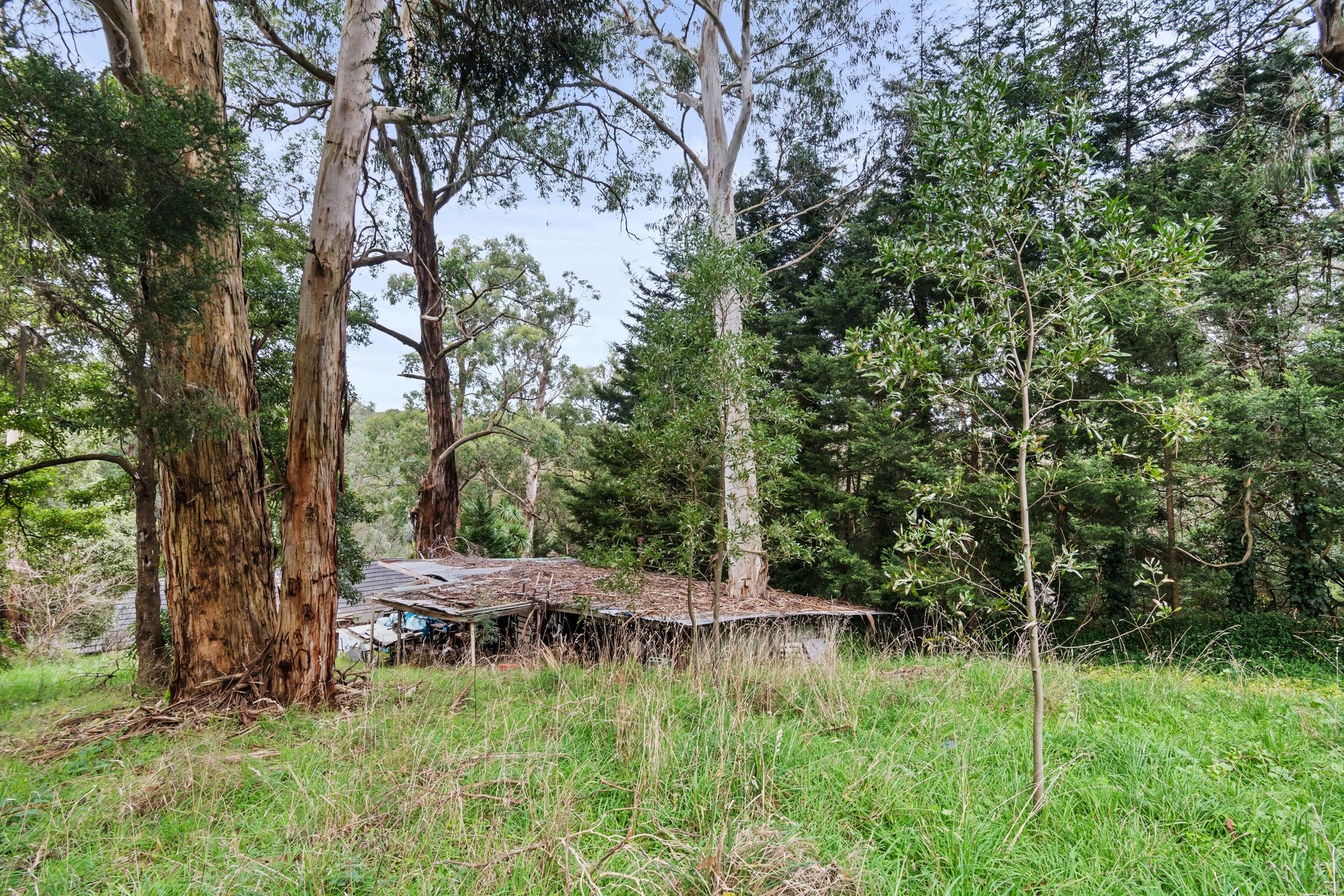 27 Fairy Dell Road, OBrien Real Estate