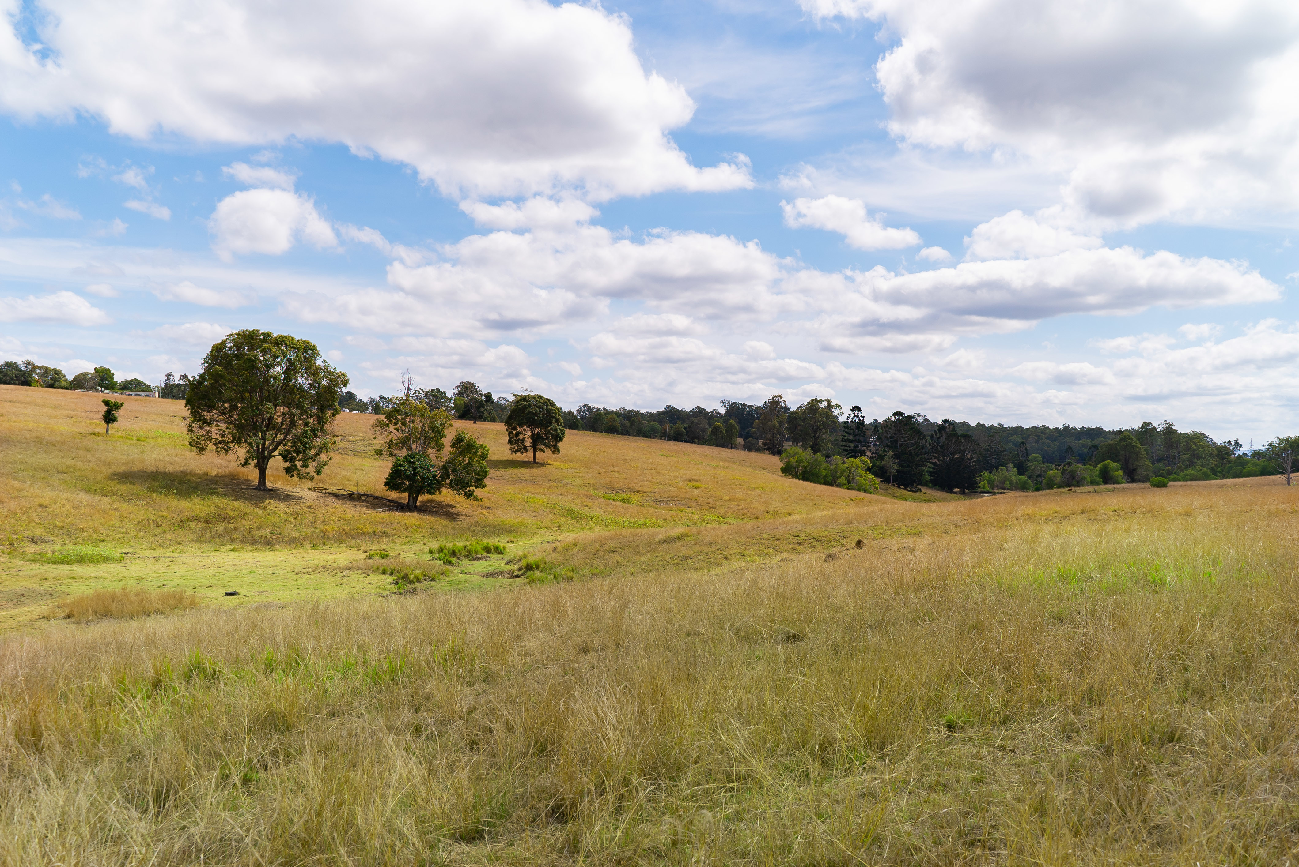 Real Estate For Sale 236 Birnam Range Road Beaudesert , QLD