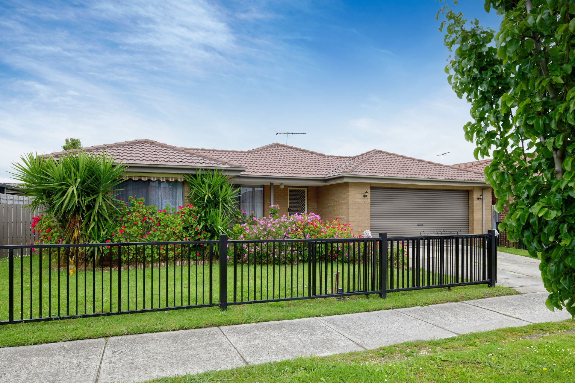 11 Proctor Road, Longwarry OBrien Real Estate