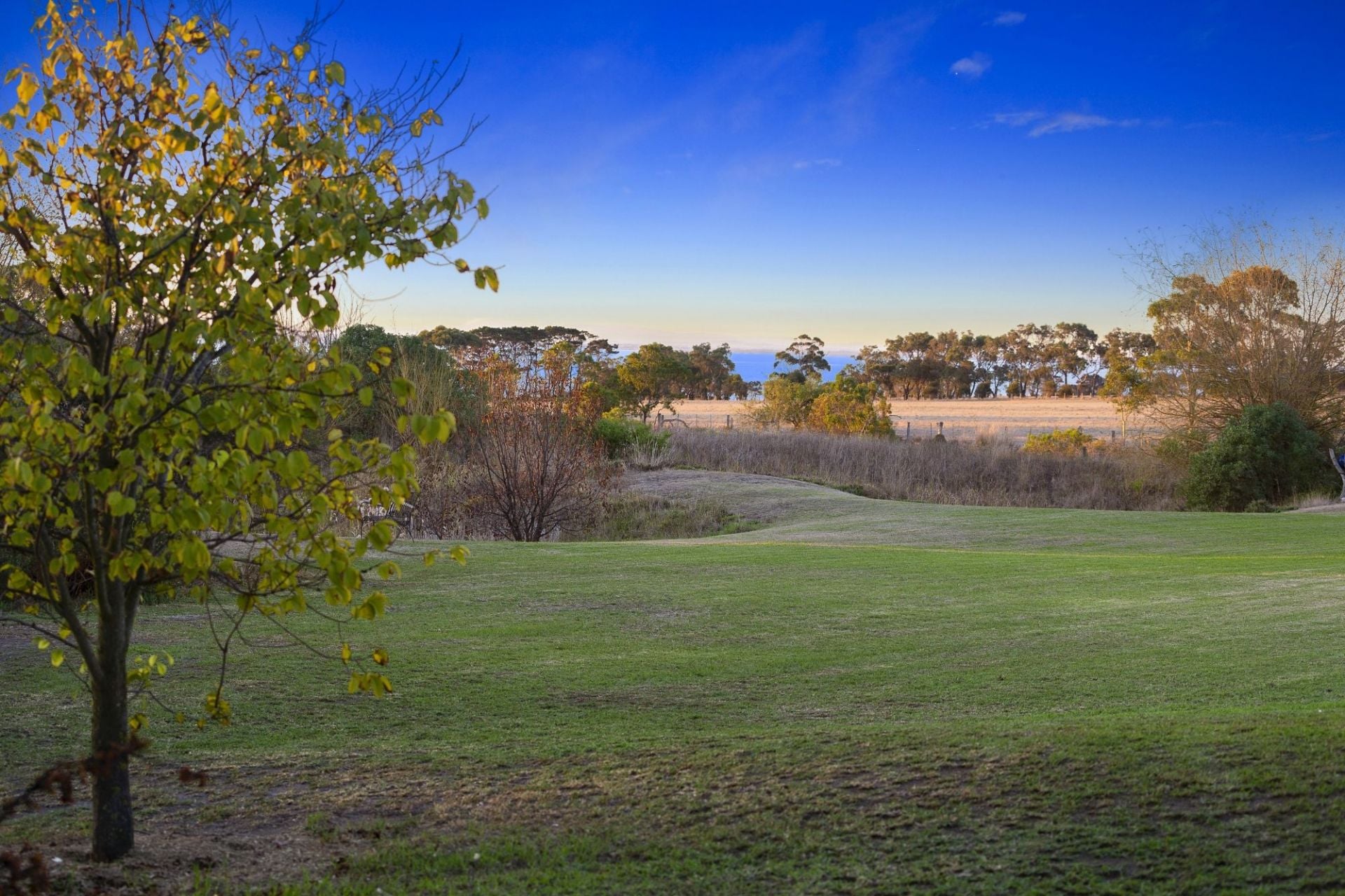 Bellarine Property