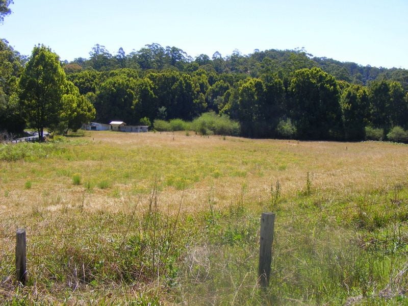 Real Estate For Sale 499 Bowraville Road Bellingen , NSW