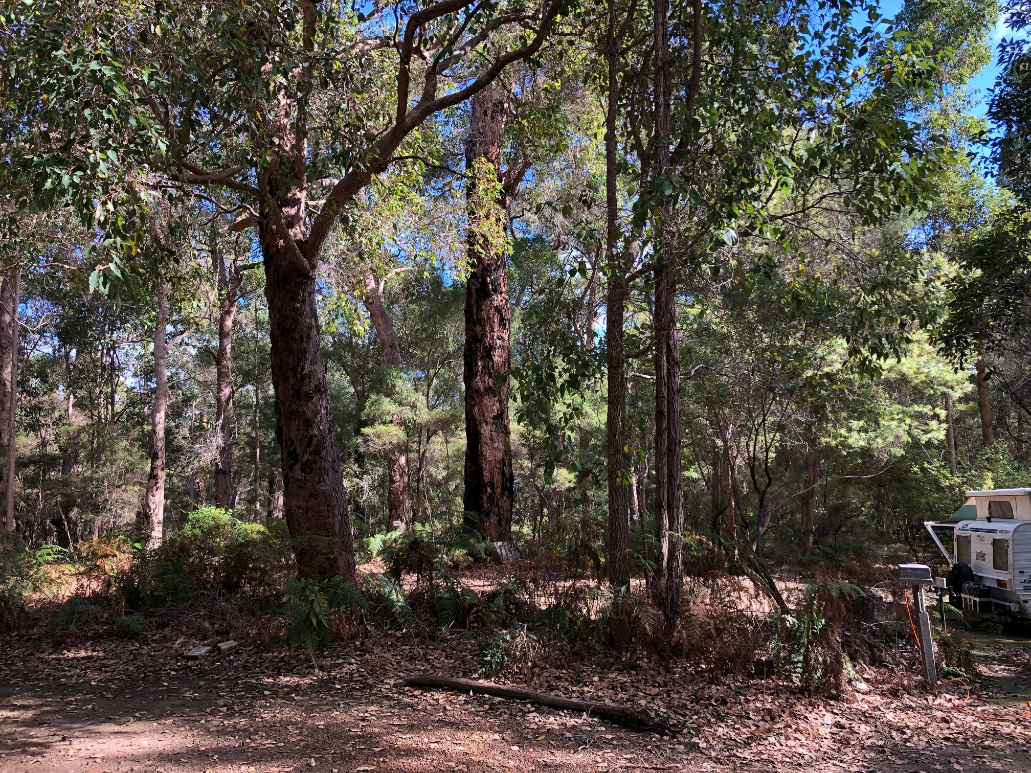 Real Estate For Sale Lot 9892 Muirillup Road Northcliffe , WA