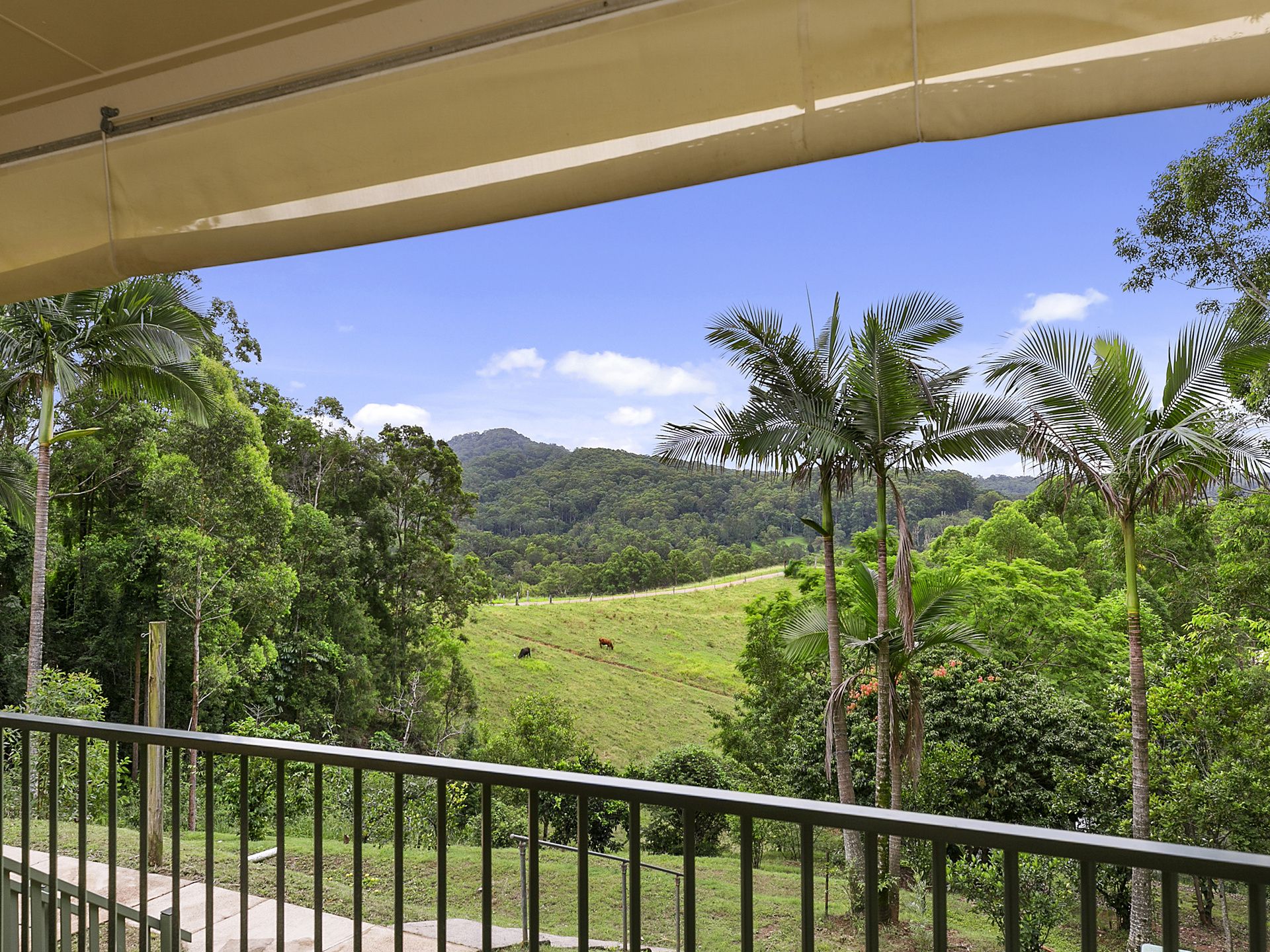 429 Blackall Range Road, West Woombye Keyline Realty