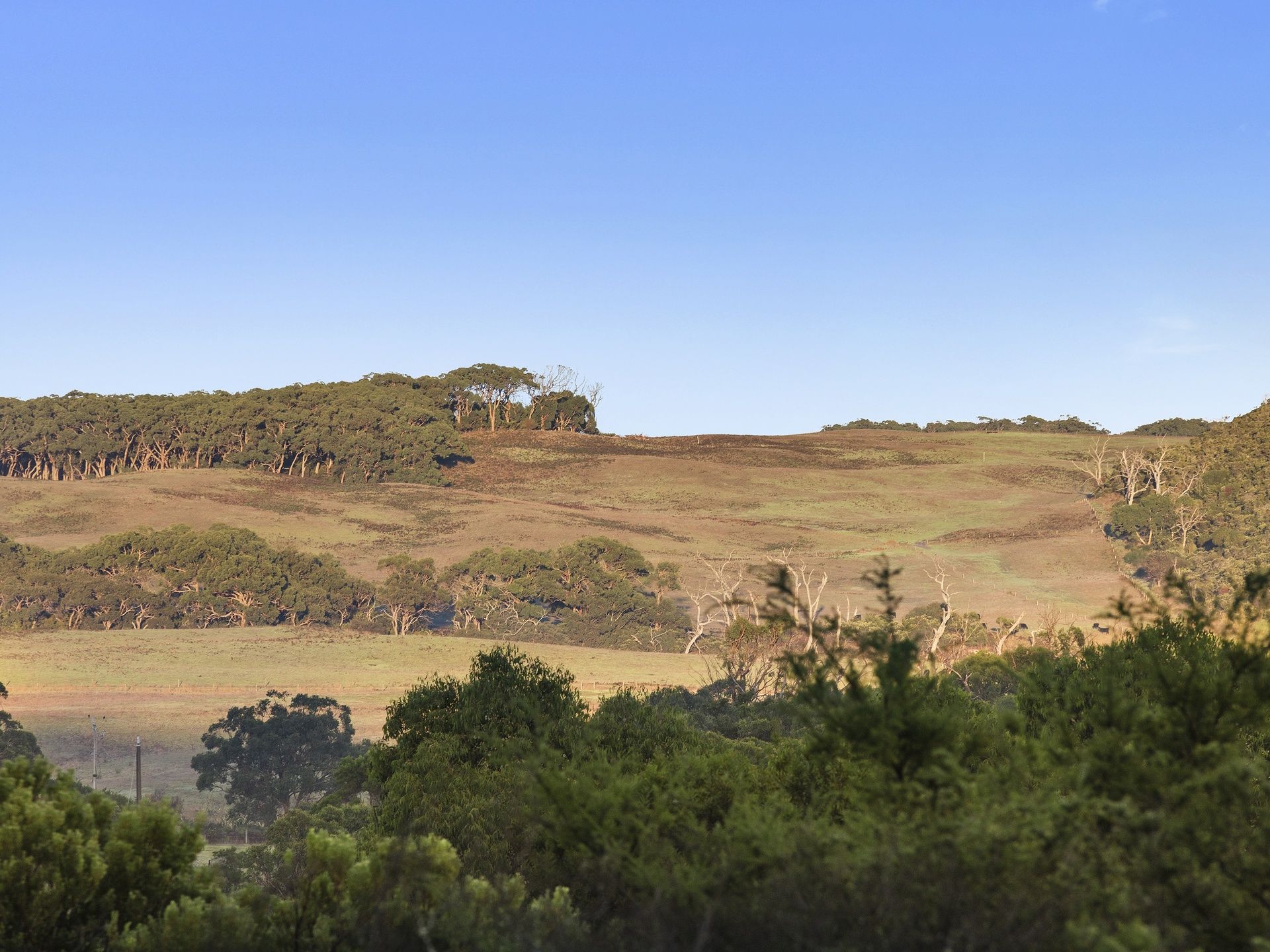 Real Estate For Sale 6/615 Hordern Vale Road Hordern Vale , VIC