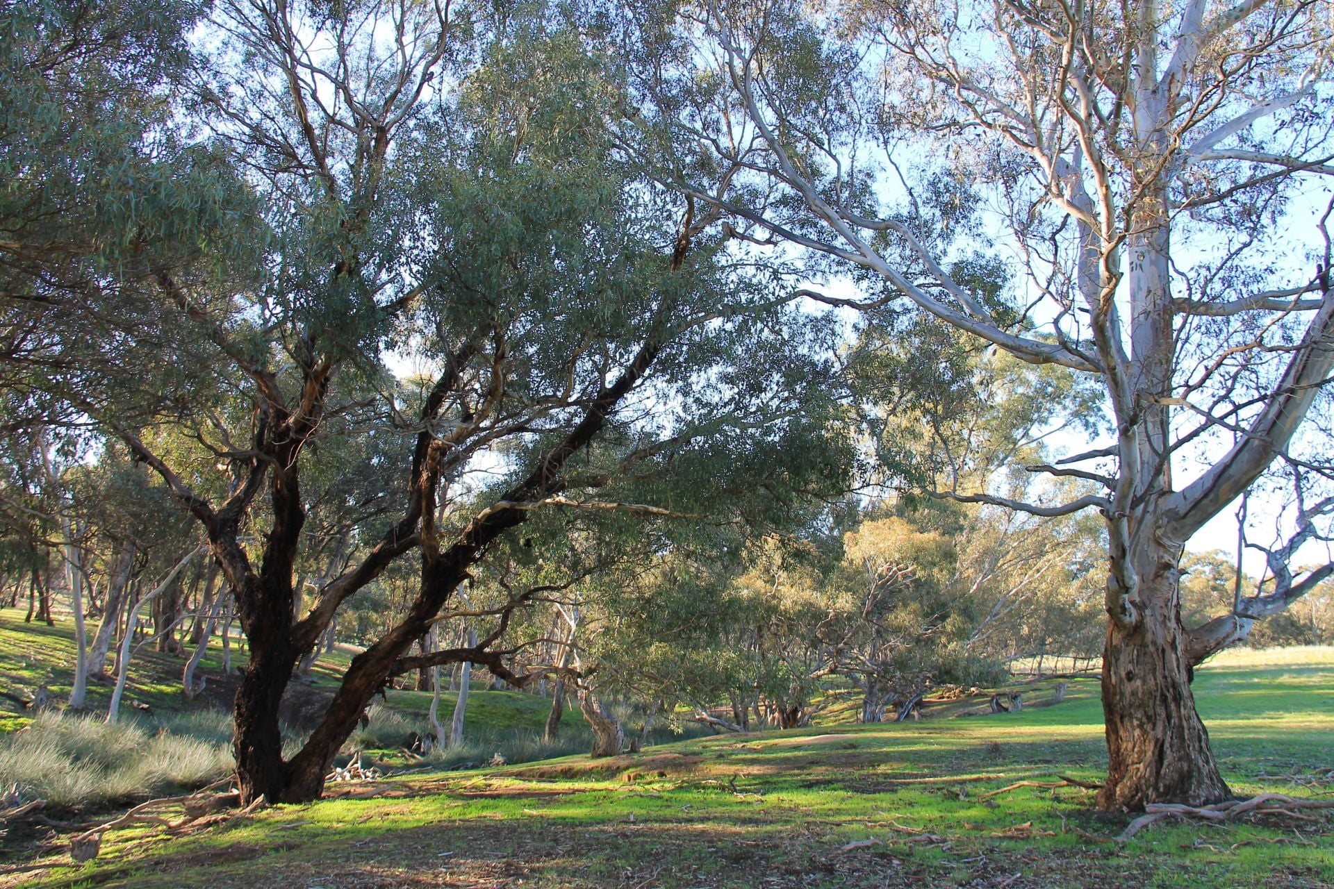 2/TP 863932U BendigoMaldon Road, Lockwood South Bendigo Real Estate