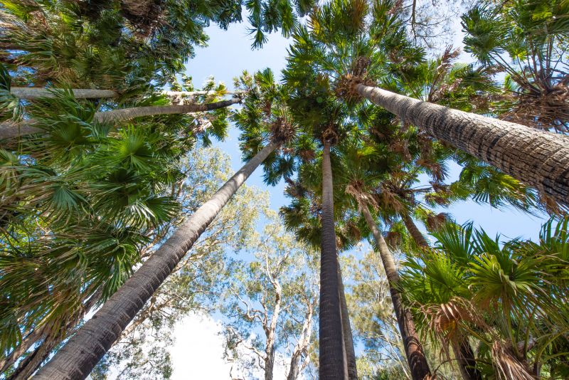 Real Estate For Sale 5 & 6 Wallis Island Forster , NSW