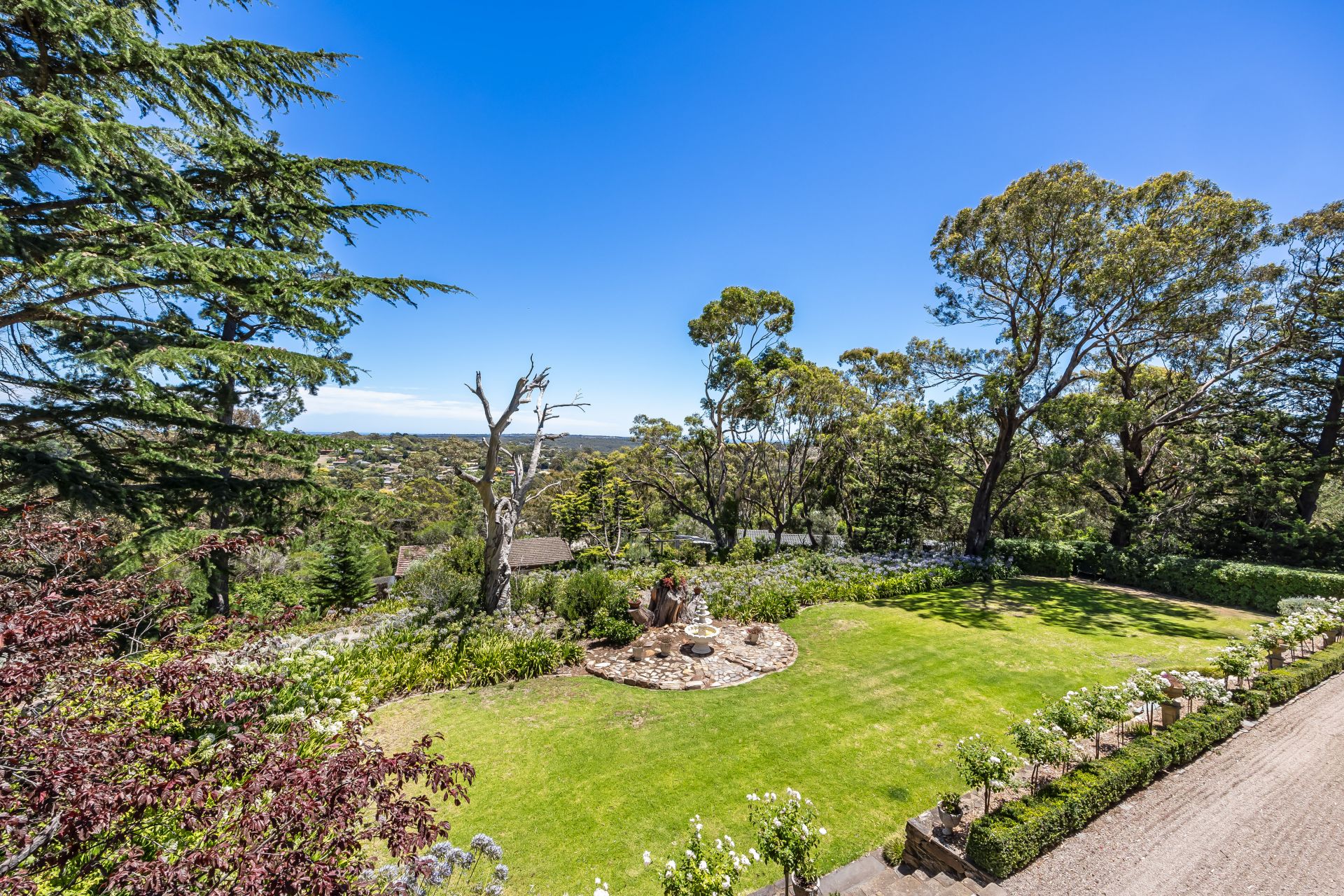 30 Barbara Crescent, Coromandel Valley Williams Real Estate