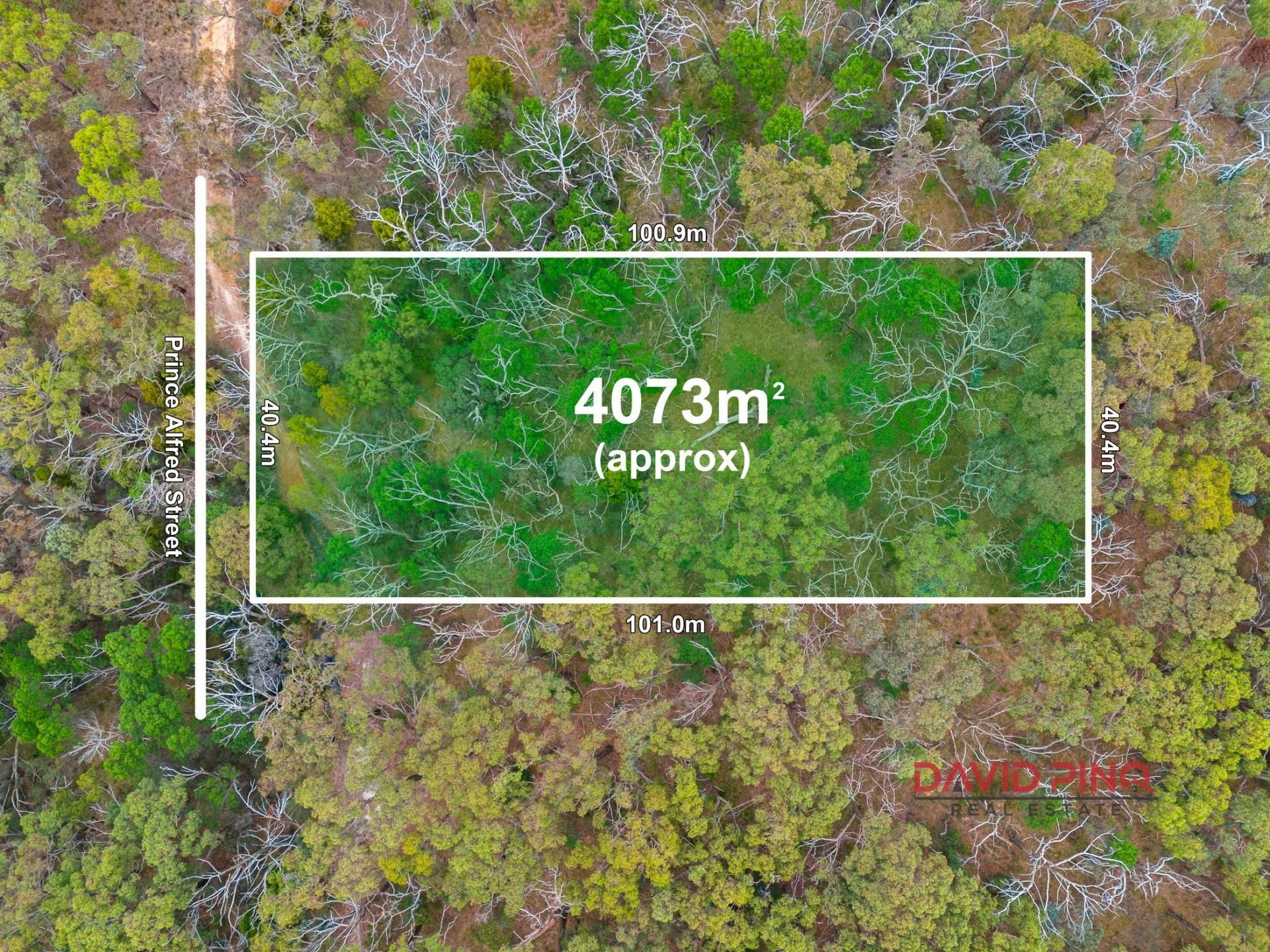 122/ Prince Alfred Street, Riddells Creek David Pino Real Estate