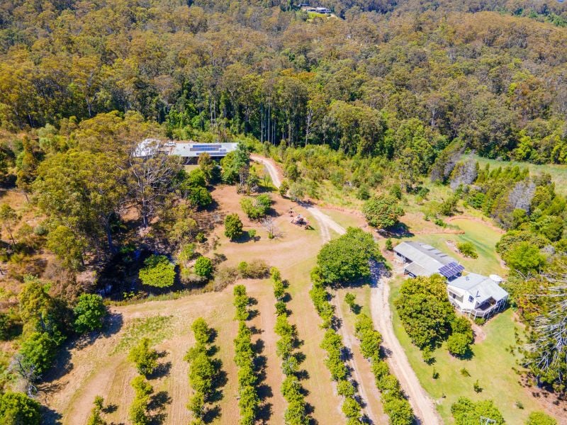 Real Estate For Sale 504511 Sherwood Creek Road Upper Corindi , NSW