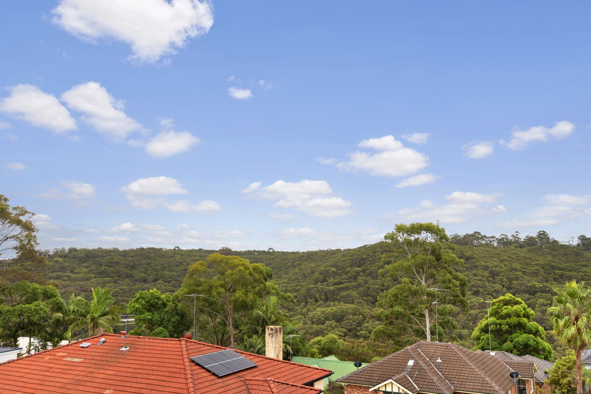 Real Estate For Sale 84H Haigh Avenue Belrose , NSW