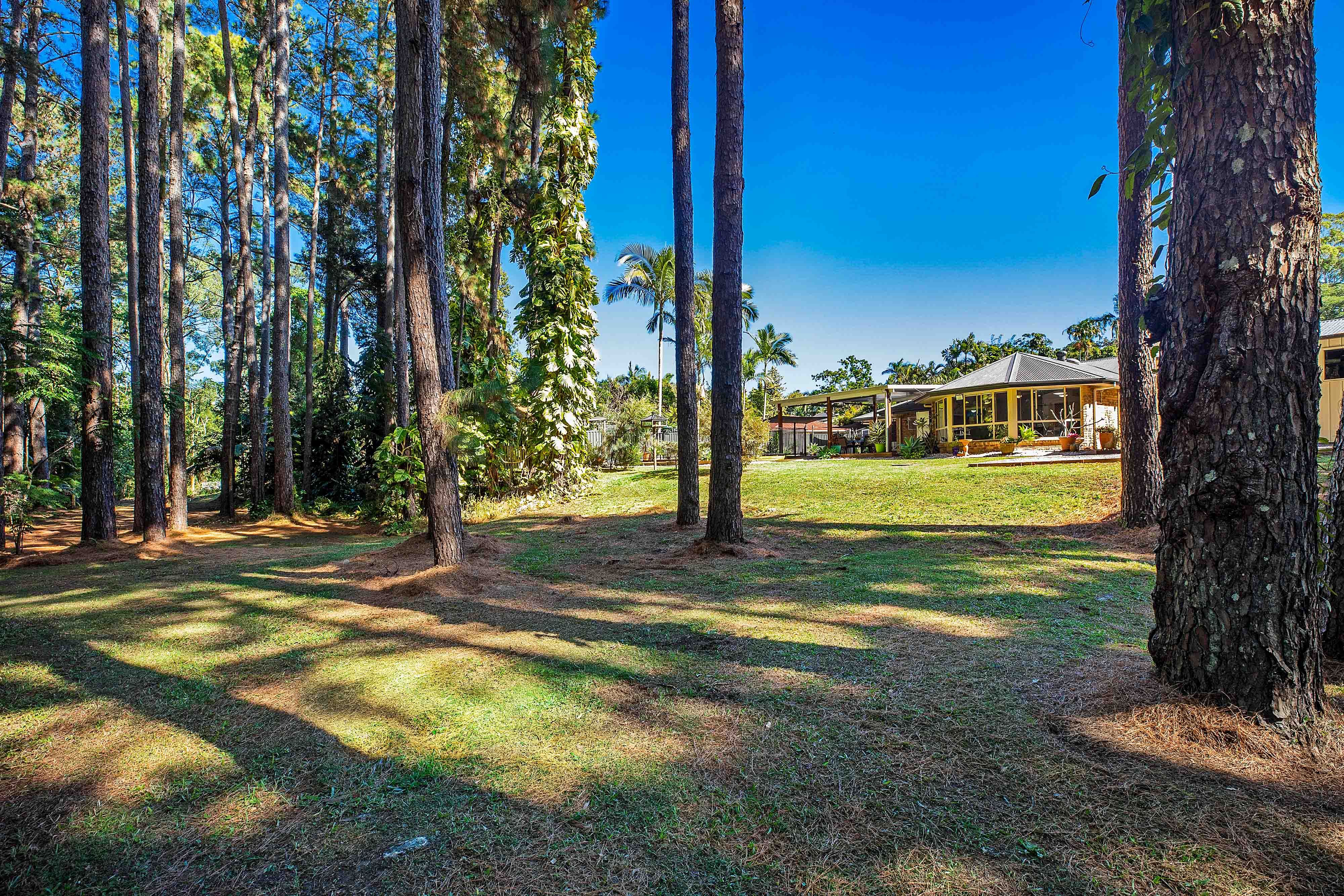 Real Estate For Sale 10 Wells Court Palmwoods , QLD