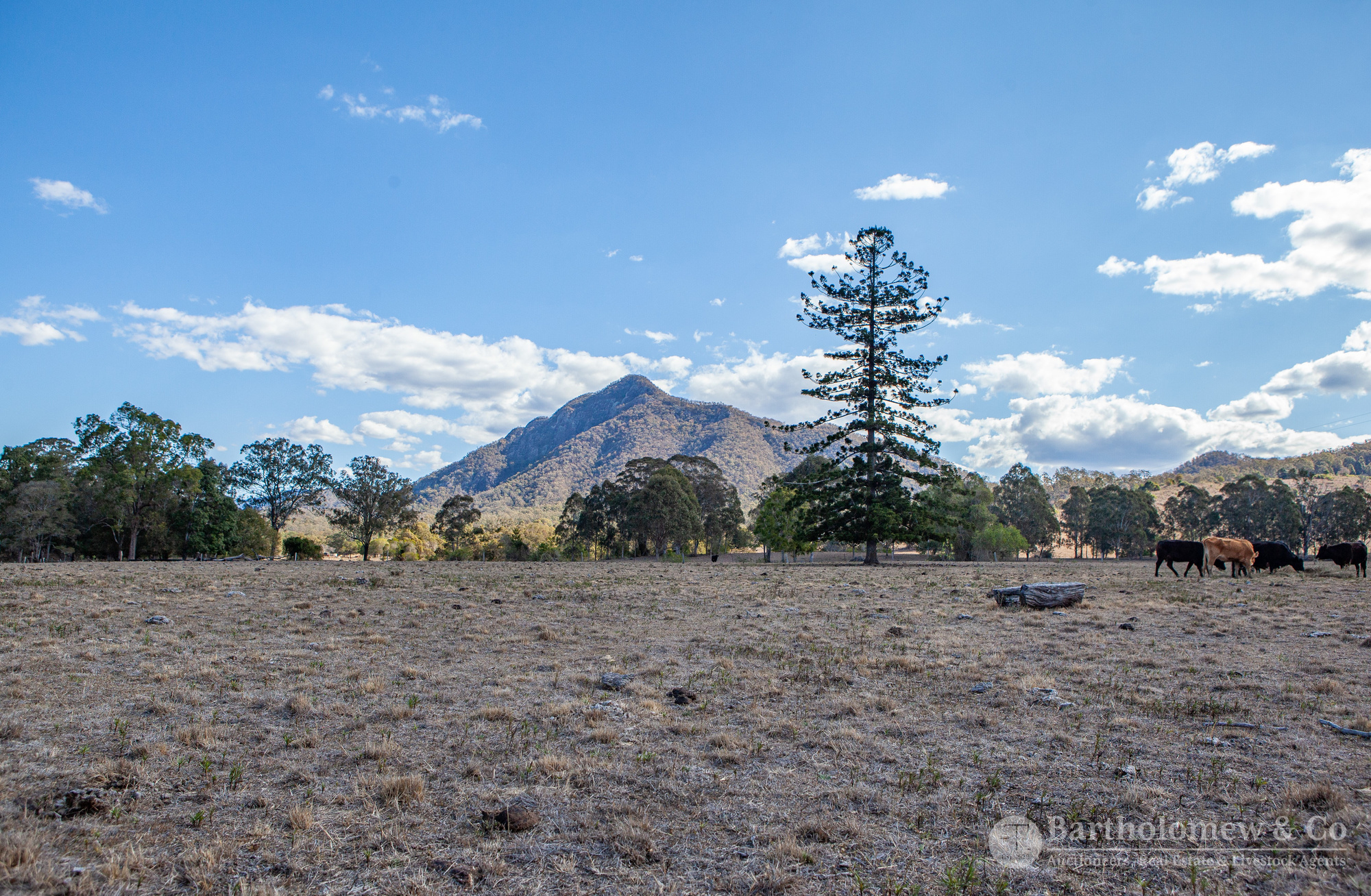 Real Estate For Sale 342 Dwyer Ridges Road Mount Alford , QLD