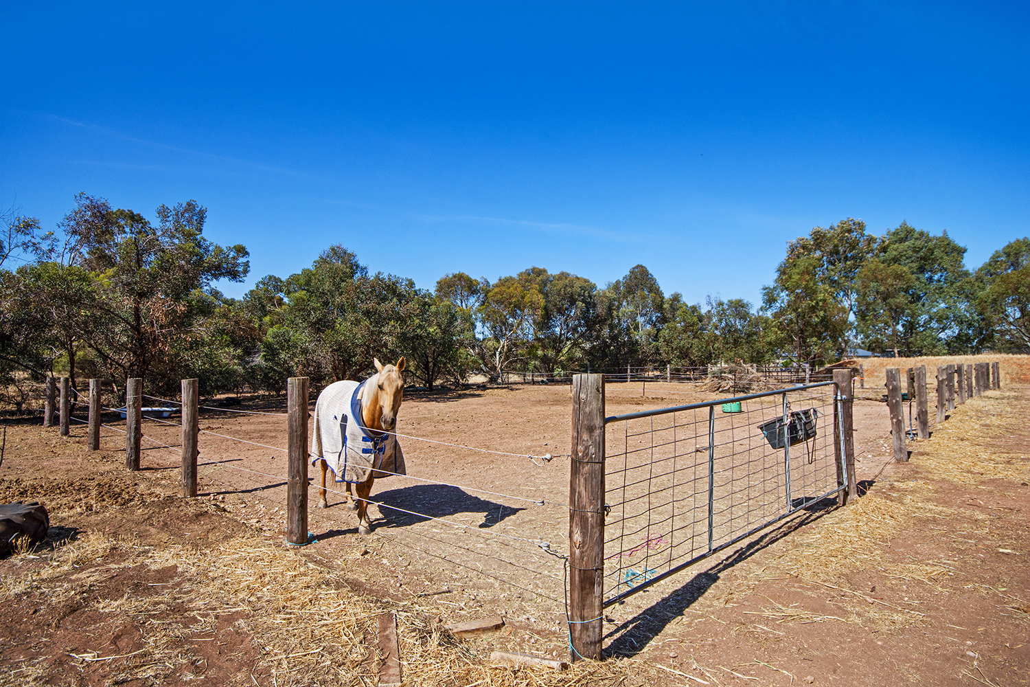 Sold property Undisclosed for 17 Atyeo Rd Gawler Belt , SA 5118