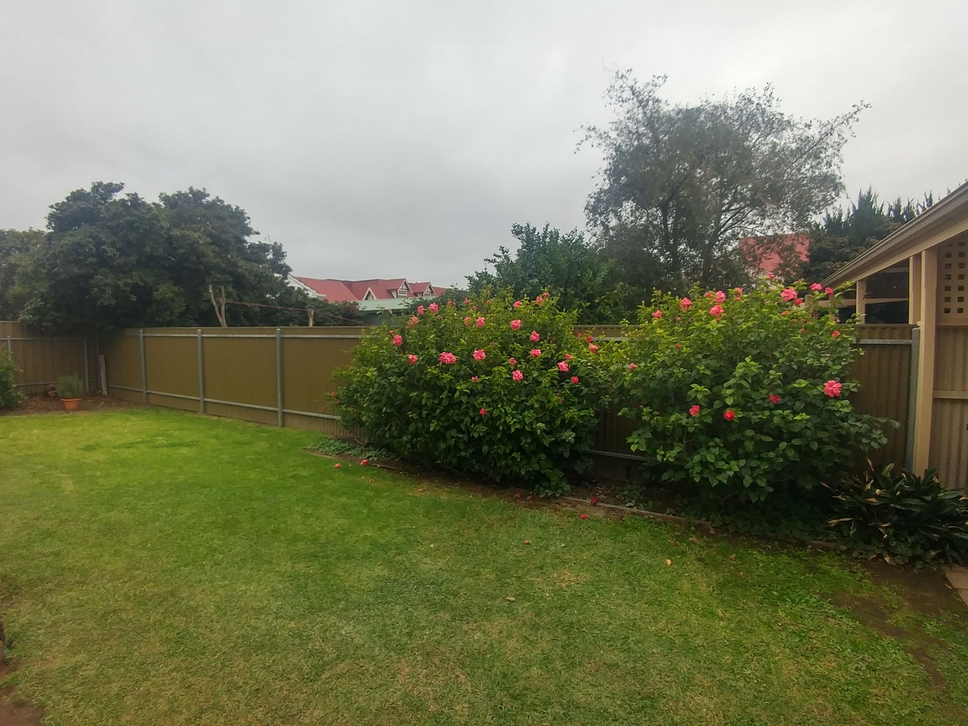 2/8 Bakewell Street, Tusmore Williams Real Estate