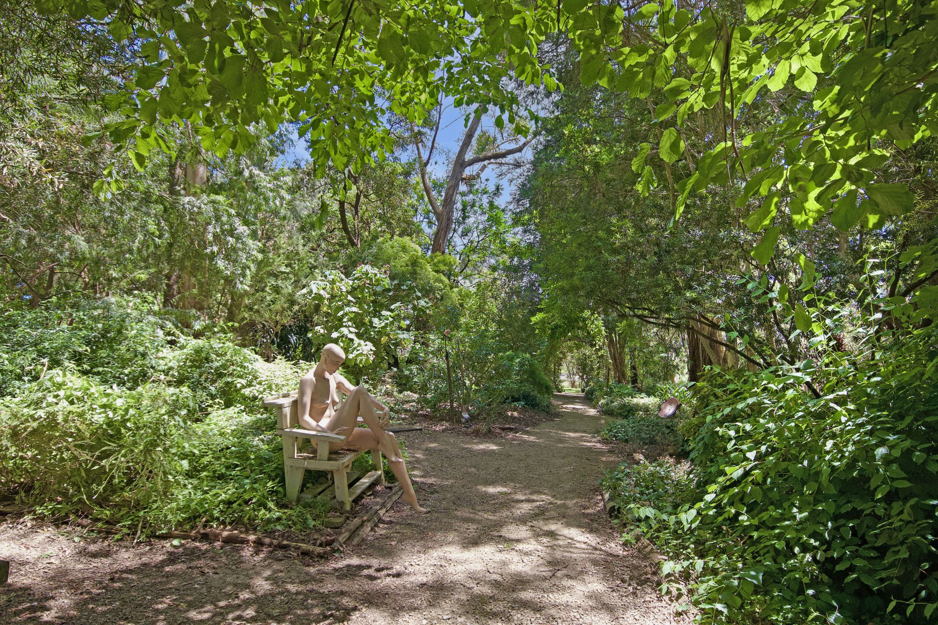 55 Olsens Road, Poowong East Karen McCormick Real Estate