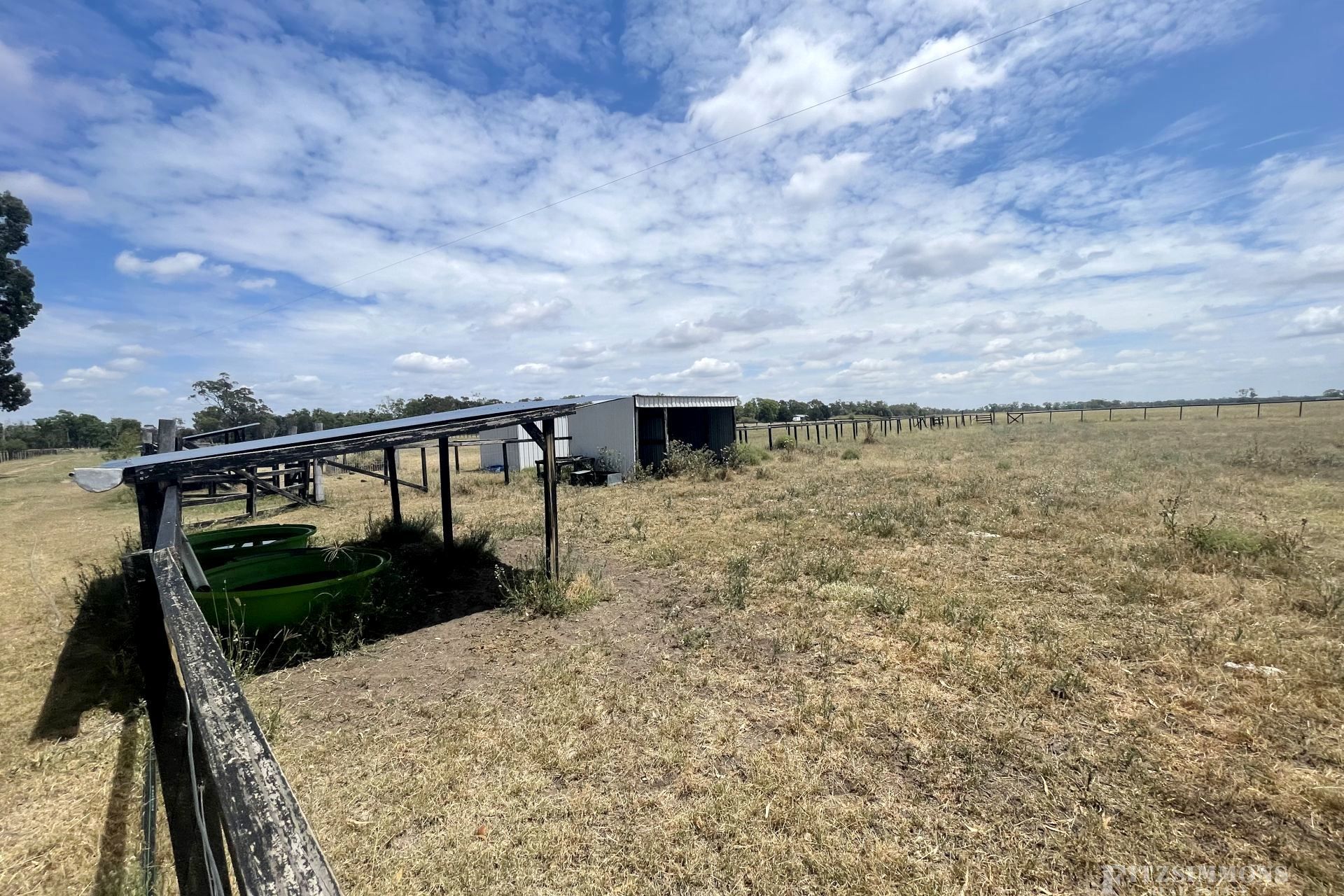 Dalby Fitzsimmons Real Estate