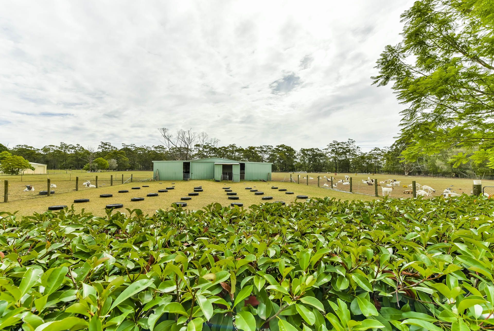 Real Estate For Sale 70 Colo Street Couridjah , NSW