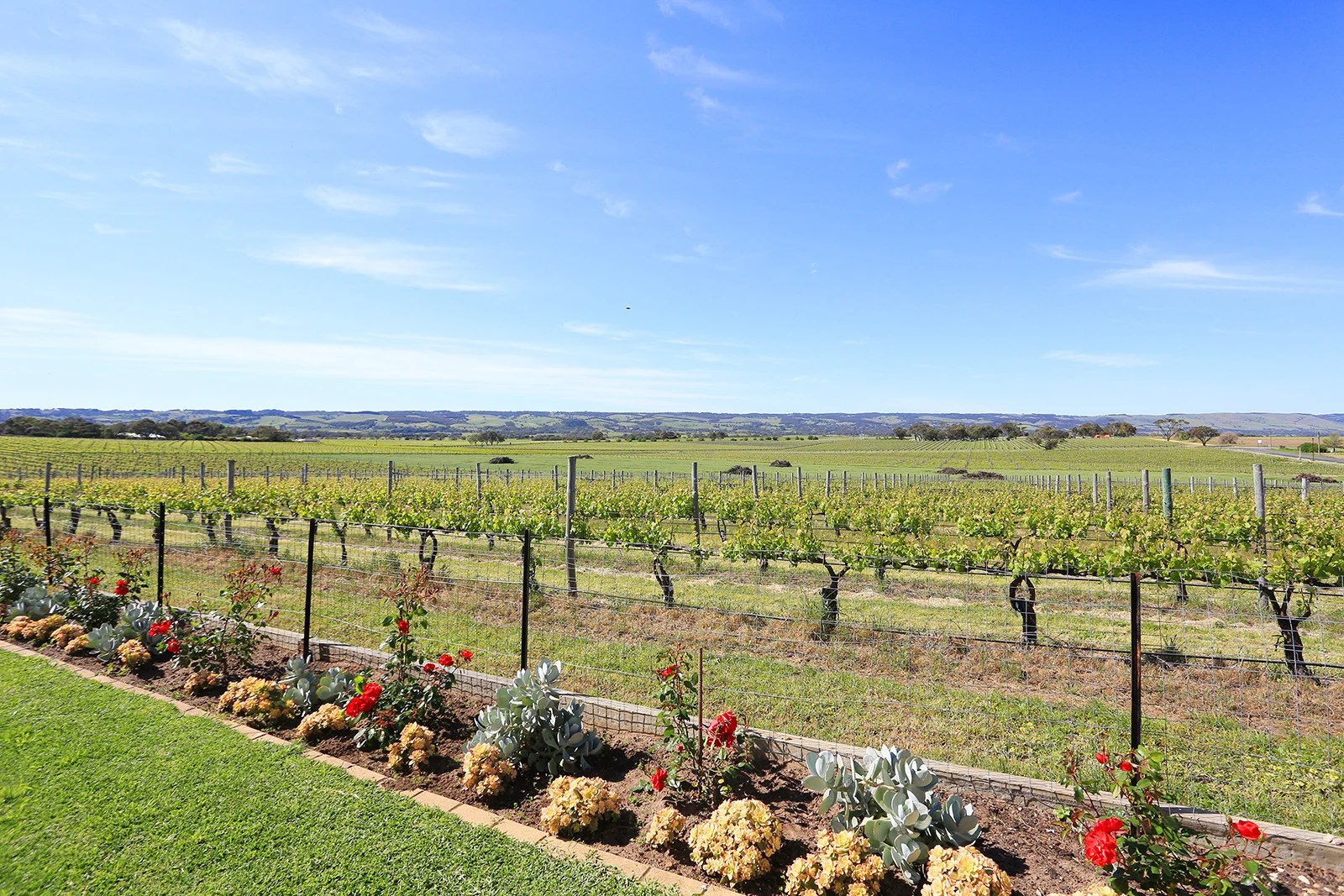 20 Harvest Drive, MCLAREN VALE, SA, 5171 House buyMyplace