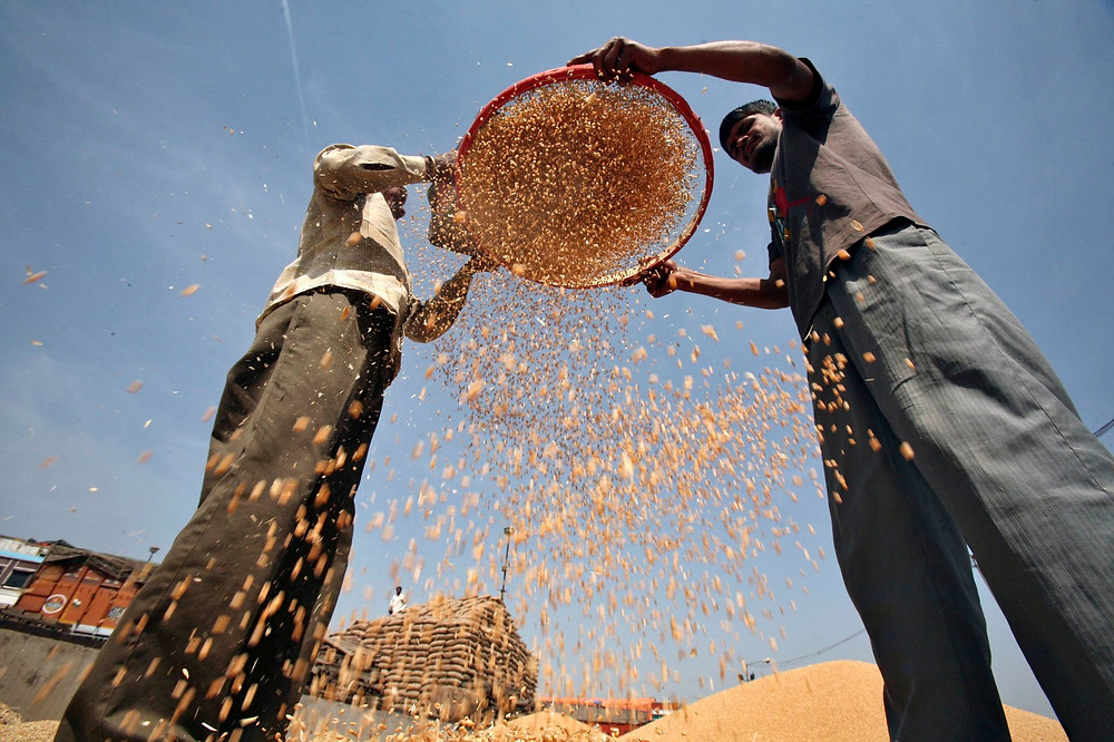 How Does Does Satan Sift Us As Wheat Ambrosia Baking