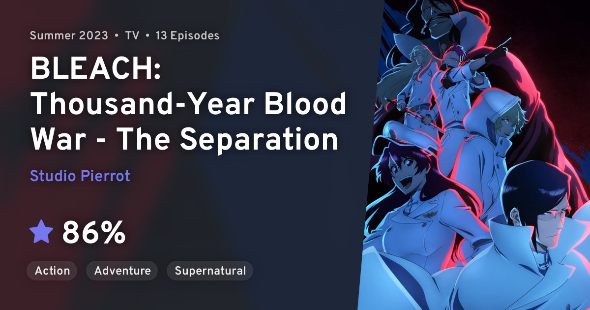 BLEACH Sennen Kessenhen Ketsubetsutan (BLEACH ThousandYear Blood