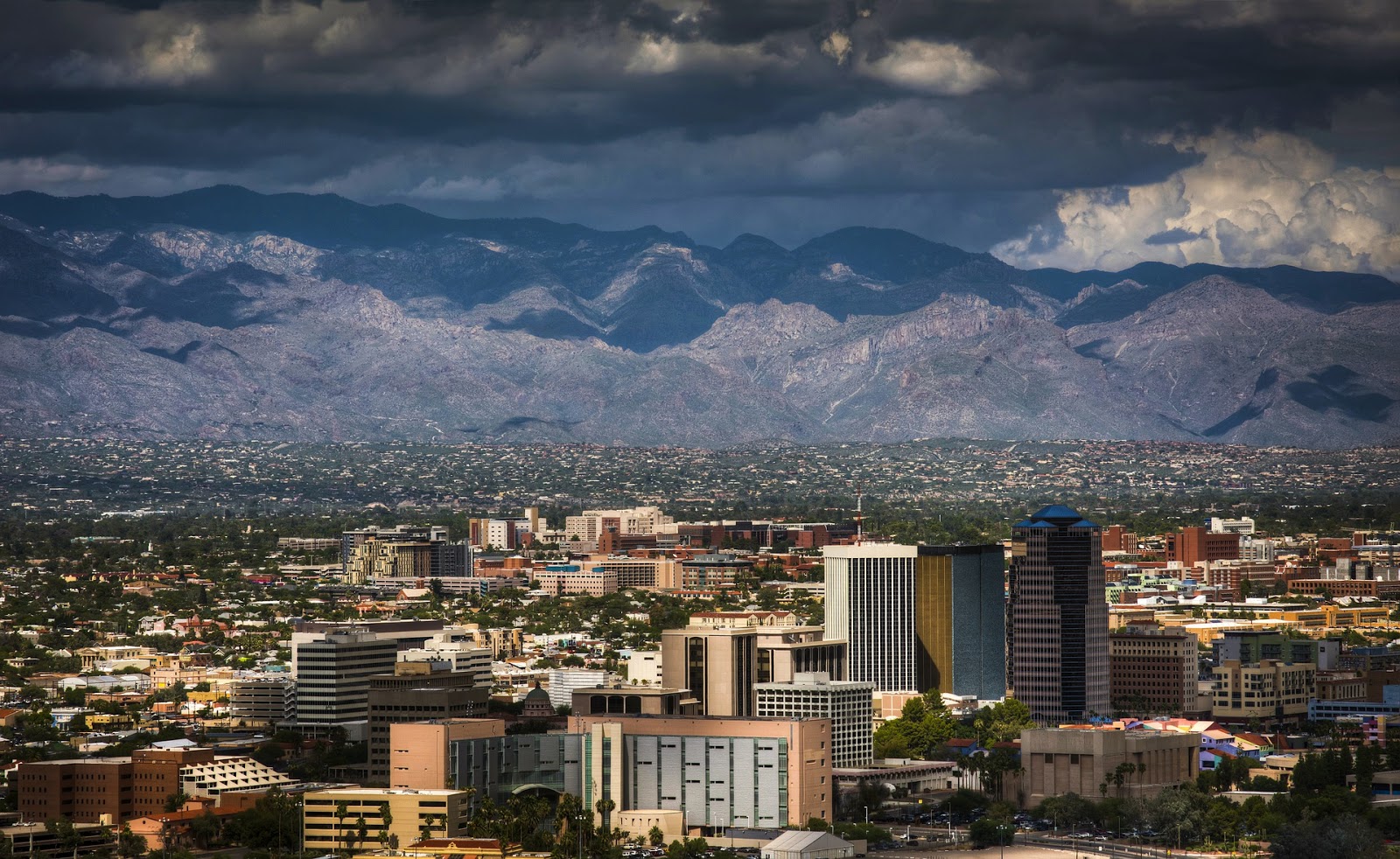 Average Price of a Studio Apartment in Tucson 2023 Tripalink