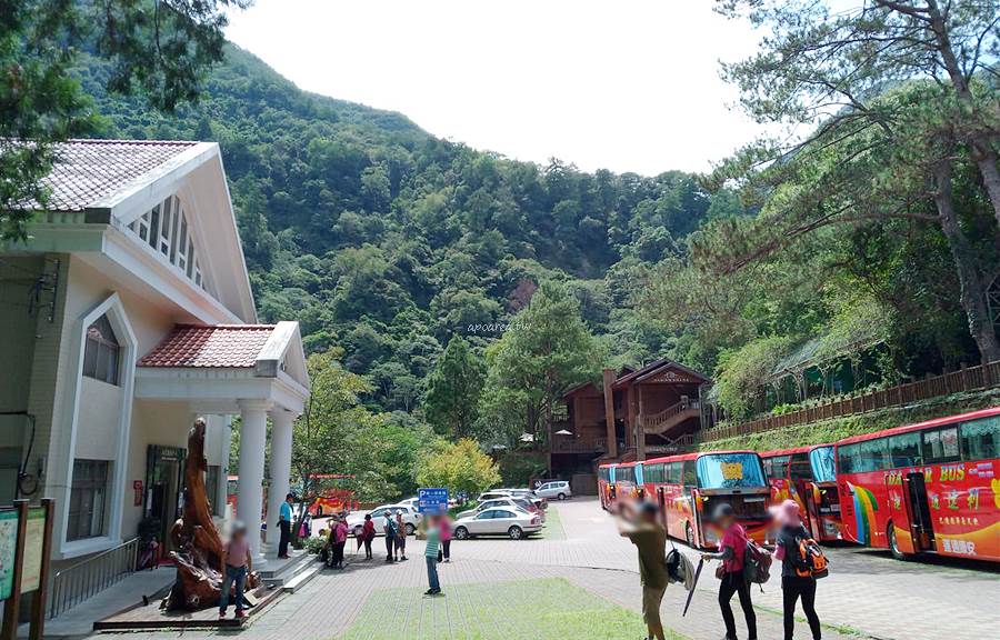 搭台中市公車到八仙山與谷關一日小旅行，交通門票時間安排看這裡！