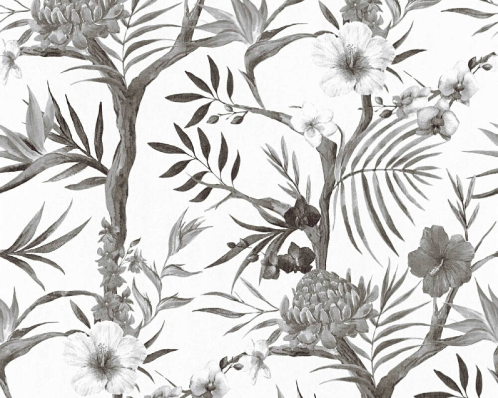 Papier Peint Blanc Et Noir Jungle Gratuit Papierpeint