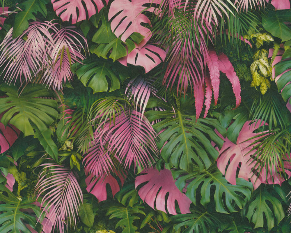 70 Wallpaper Pink Jungle Pics My