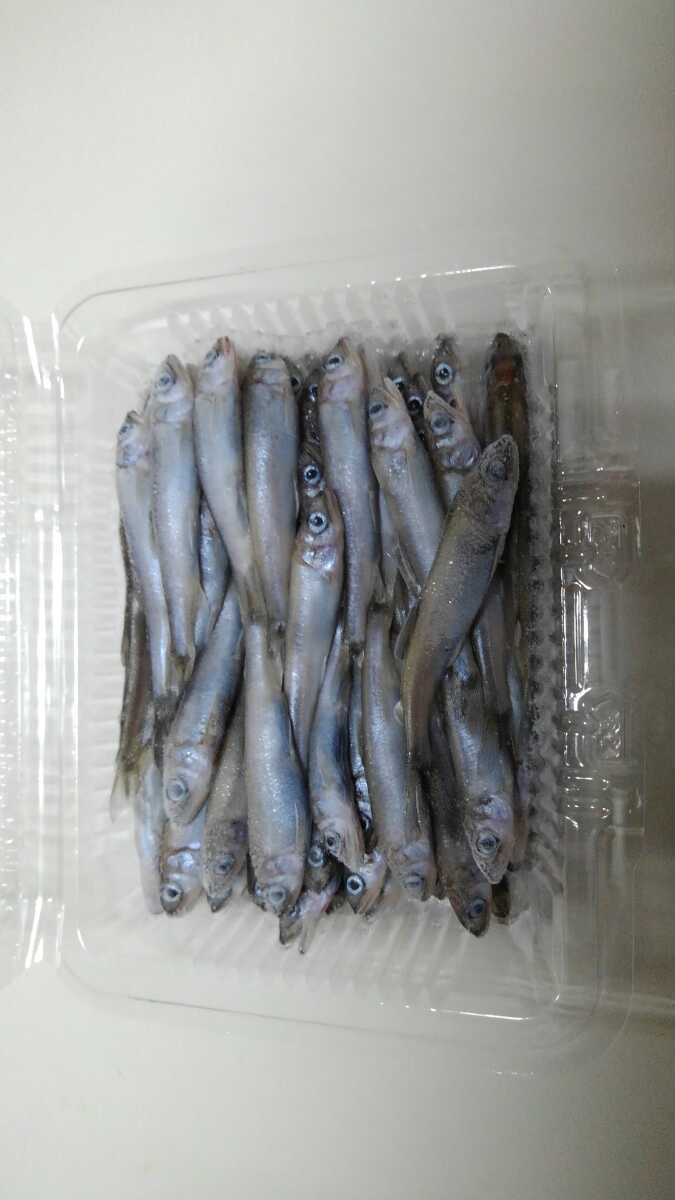 [新しいコレクション] ウナギ 釣り 餌 738743うなぎ 釣り 餌 レバー Jozirasutoon8p