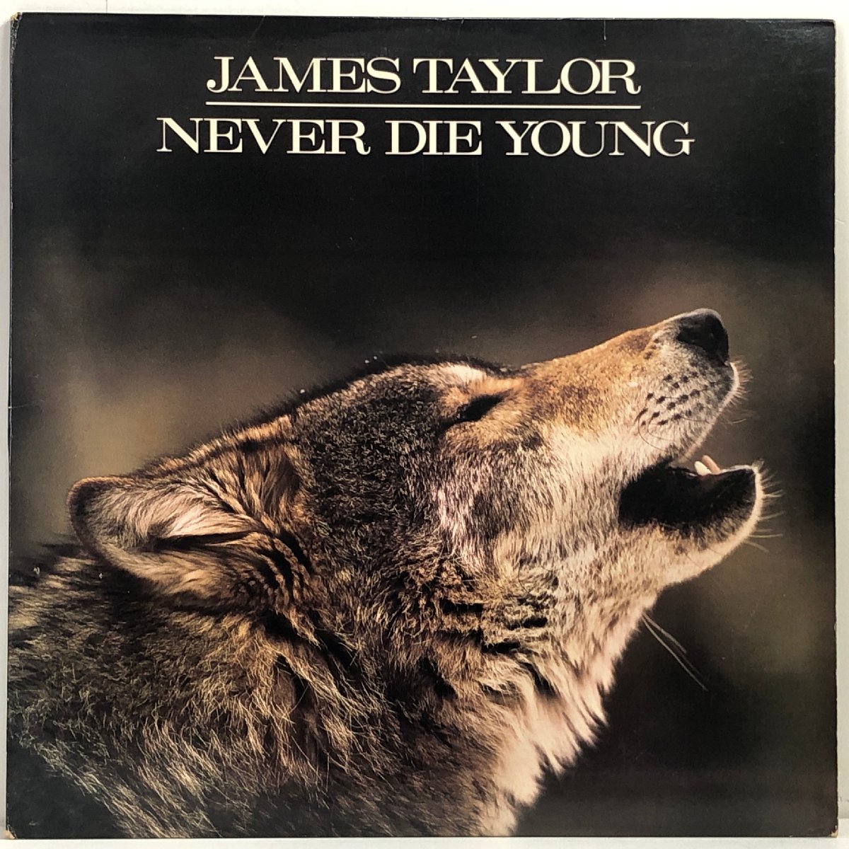 【やや傷や汚れあり】【US盤 LP】JAMES TAYLOR / NEVER DIE YOUNG ネヴァー・ダイ・ヤング / ジェイムス