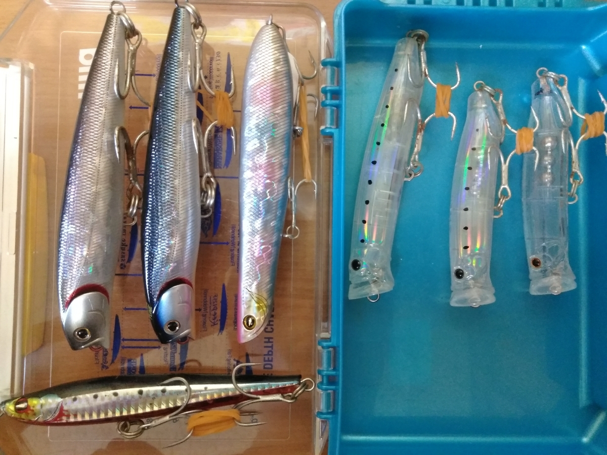 心に強く訴えるブリ トップ ルアー すべての魚の画像