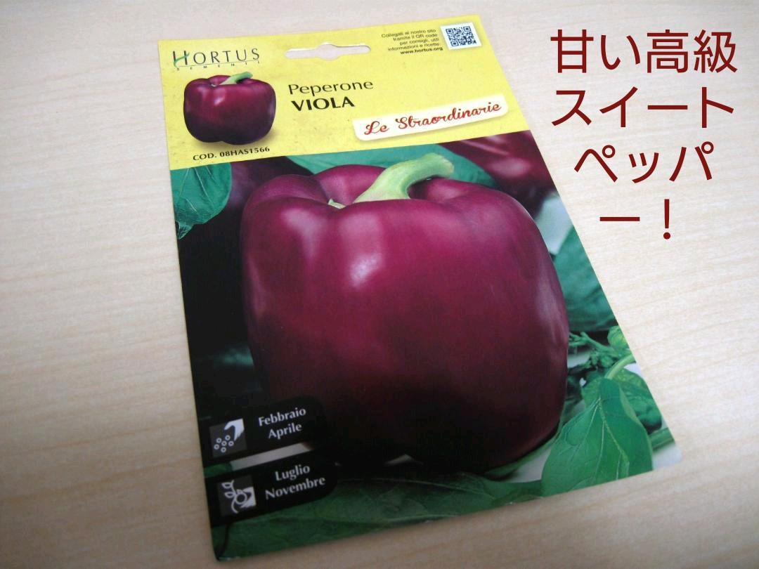 【新品】極甘 紫 パプリカ 甘い スイートペッパー Peperone Viola 種 3粒 種子のみ小分け 希少 HORTUS社 ピーマン